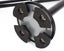 Walking Stick - Walking Stick Carousel 4