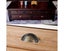 Cabinet Drawer Door Knobs Pulls Handles(12 PCS) - NEW Clearance Clearance Carousel 4