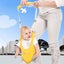 Backpack Toddler Walker Leashes Child Safety Reins Baby Trainer Assistant Gear F Carousel 3