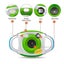 Amk-cdfp Children 1.5 Inch 4x Digital Zoom 5 Megapixel Camera Fine Kids Gift Carousel 3