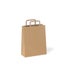 Paper Bag - Flat Fold Handle #60 BR Recycled PLAIN (200pcs) Carousel 1