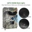 Wildlife Trail Trap Camera Carousel 4