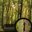 12x25 Hd All-optical Green Film Waterproof Binoculars Telescope Hunting Scope Carousel 3