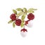 Vintage Enamel Litchi Brooch Luxury Jewelry Accessory Carousel 2