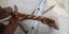 Heavy Healing COPPER Bracelet ~ adjustable (Brand New) Christmas gift Carousel 4
