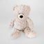Soft Teddy Bear - White Carousel 1