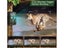 PTN New Hunting Trail Camera Sale Sale Sale Carousel 5