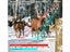 PTN New Hunting Trail Camera Sale Sale Sale Carousel 6