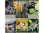 PTN New Hunting Trail Camera Sale Sale Sale Carousel 7