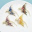 Crystal Phoenix Bird Brooch 5 Colour Enamel Beauty Pin Carousel 7