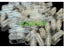 100PCS Joined Gelatin Empty Capsules Size 000-4 For Medical Capsule Packing Carousel 5