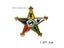 Masonic Smaller Lapel Pins Badge Mason Freemason FORGET ME NOT Sun Past Master Carousel 8