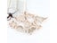 Soap Mould Tool Various Animal Shapes Sugar Craft Muffin Biscuit Bread Pudding Carousel 6