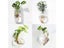 Fashion Wall Hanging Glass Vase Terrarium Aquarium Container For Home Garden Carousel 3