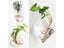 Fashion Wall Hanging Glass Vase Terrarium Aquarium Container For Home Garden Carousel 5