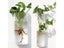 Fashion Wall Hanging Glass Vase Terrarium Aquarium Container For Home Garden Carousel 6