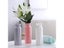 Modern White Pink Plastic Vase For Flower Arrangement In Nordic Home Living Carousel 4