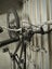 Tandem bicycle Carousel 2