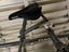 Tandem bicycle Carousel 3