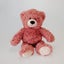 Pink Teddy Bear - 30cm Carousel 1