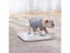 Mijia 2.0 Weight Scale Bluetooth 5.0 Intelligent Control Precision LED Display Carousel 4