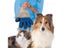 Cat Brush Dog Brush Carousel 6