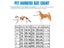 Cat Harness Reflective Pet Harnesses And Leashes Set Adjustable Pet Harness For Carousel 3