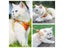Cat Harness Reflective Pet Harnesses And Leashes Set Adjustable Pet Harness For Carousel 7