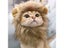 Cat Clothing Carousel 4