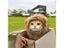 Cat Clothing Carousel 5