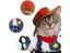 Funny Pet Dog Cat Halloween Costume Dog Cowboy Clothes Pet Dog Costumes For Carousel 3