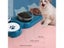 Cat Food Bowl Pet Automatic Feeder Water Dispenser Dog Cat Food Container Carousel 4