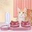 Cat Food Bowl Pet Automatic Feeder Water Dispenser Dog Cat Food Container Carousel 7