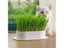 Hydroponic Seedling Tray Creative Cat Snack Catnip Growing Pot Reusable Garden Carousel 3