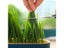 Hydroponic Seedling Tray Creative Cat Snack Catnip Growing Pot Reusable Garden Carousel 5