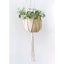 2PCS Macrame Plant Hanger Cotton Rope Plant Holder Basket A02 Carousel 6