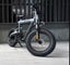E bike Carousel 3