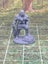 Ogre / Hill Giant Monster Miniatures Set of 5 Dungeons and Dragons FDG Carousel 3