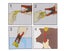 PTN New Animal Ear Tag Puncher Sale Sale Carousel 7