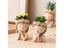 Nordic Flower Pots Cute Girl Decorative Planters Succulents Cactus Flower Pot Carousel 3