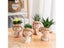 Nordic Flower Pots Cute Girl Decorative Planters Succulents Cactus Flower Pot Carousel 6
