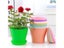 Flower Pot Round Planters Candy Color Succulents Plant Pot Office Desktop Carousel 3