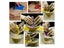 Pottery Sculpture Tools Carousel 6