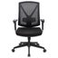 Buro Brio II Pro High Mesh Back Lumbar Support Executive Chair, Black Nylon Base Carousel 1