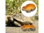 Dish Accessories For Reptile Food Water In Terrarium Carousel 4