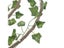 Reptile Vine Jungle Rattan Tree Strip For Pet Terrarium Decoration Carousel 3