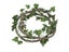 Reptile Vine Jungle Rattan Tree Strip For Pet Terrarium Decoration Carousel 6