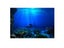 Aquarium Decoration Double Sided HD Fish Tank Landscape Sticker Carousel 3