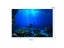 Aquarium Decoration Double Sided HD Fish Tank Landscape Sticker Carousel 1