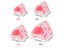 Hamster House Small Animal Sleeping Bed For Rabbit Squirrel With Warm Mat Carousel 7